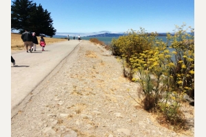 Pt-Isabel-3b