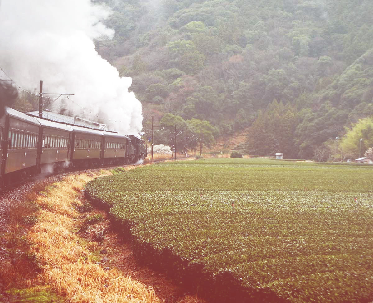 SL_Kananeji_Oigawa_Railway_1
